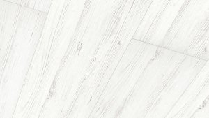 White pine 4088. 250 x 2600 x12 mm