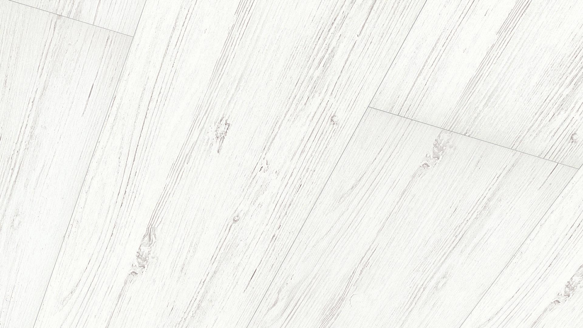 White pine 4088. 250 x 2600 x12 mm