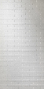 294 PaintbleBrick