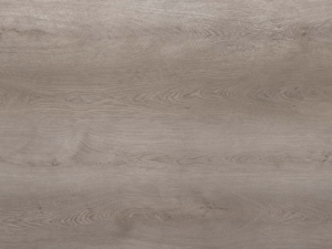 Grey Majestic Oak